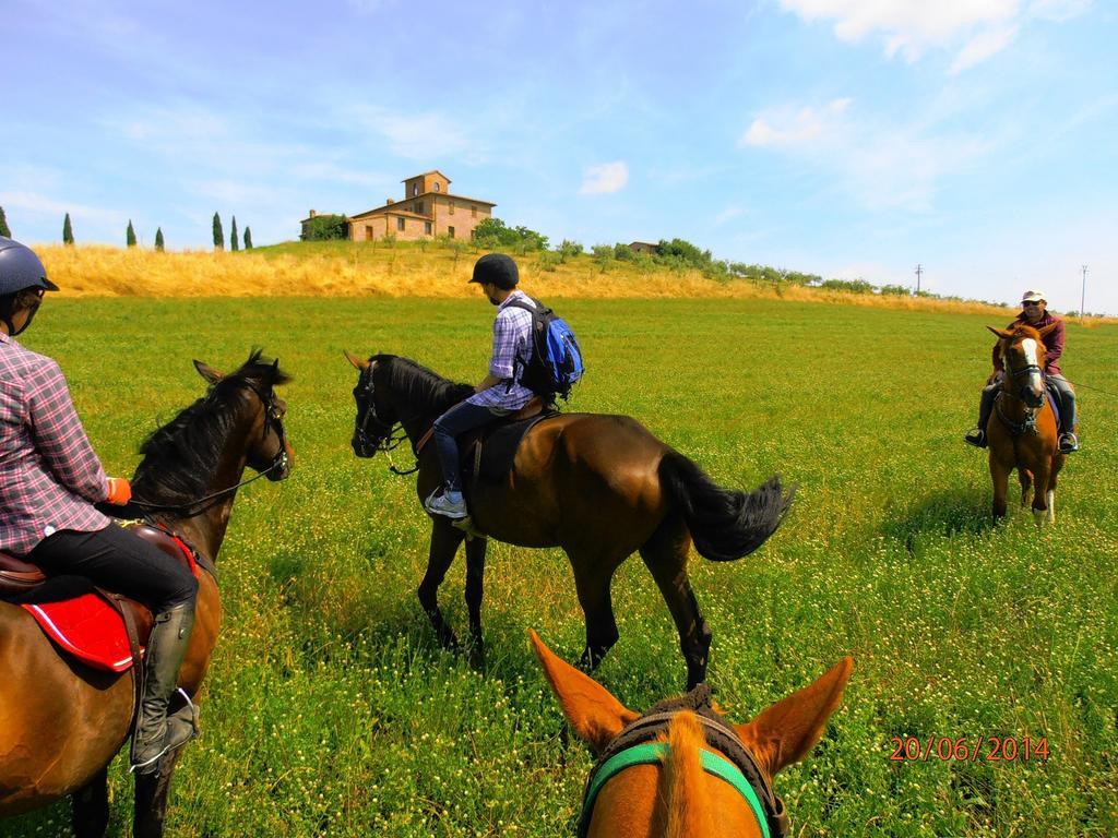 Agriturismo Le Piazze Villa Siena Exterior foto