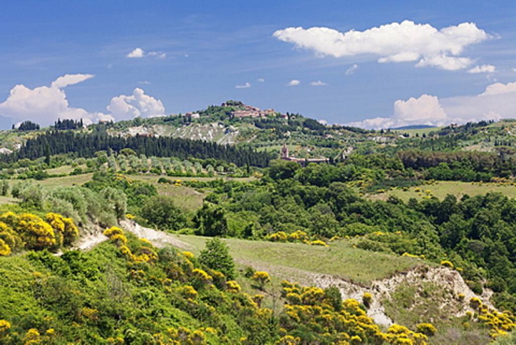 Agriturismo Le Piazze Villa Siena Exterior foto