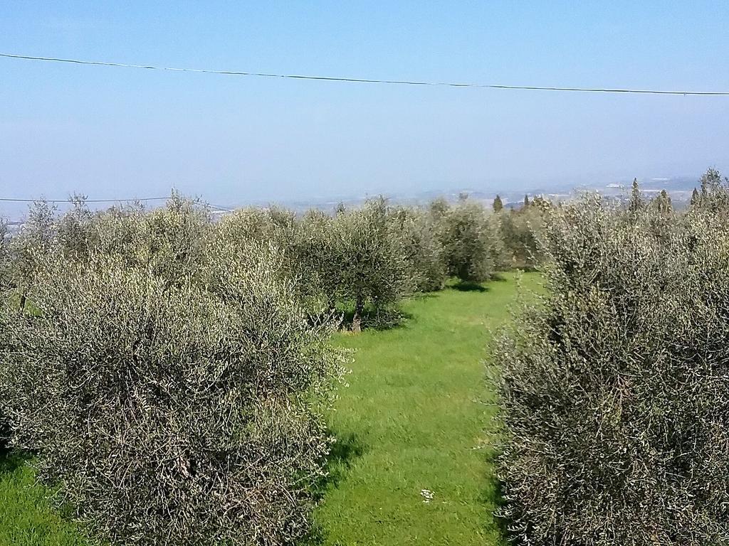 Agriturismo Le Piazze Villa Siena Exterior foto